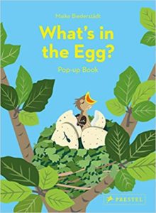 what is in the egg pop up book