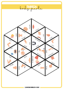 tarsia body parts
