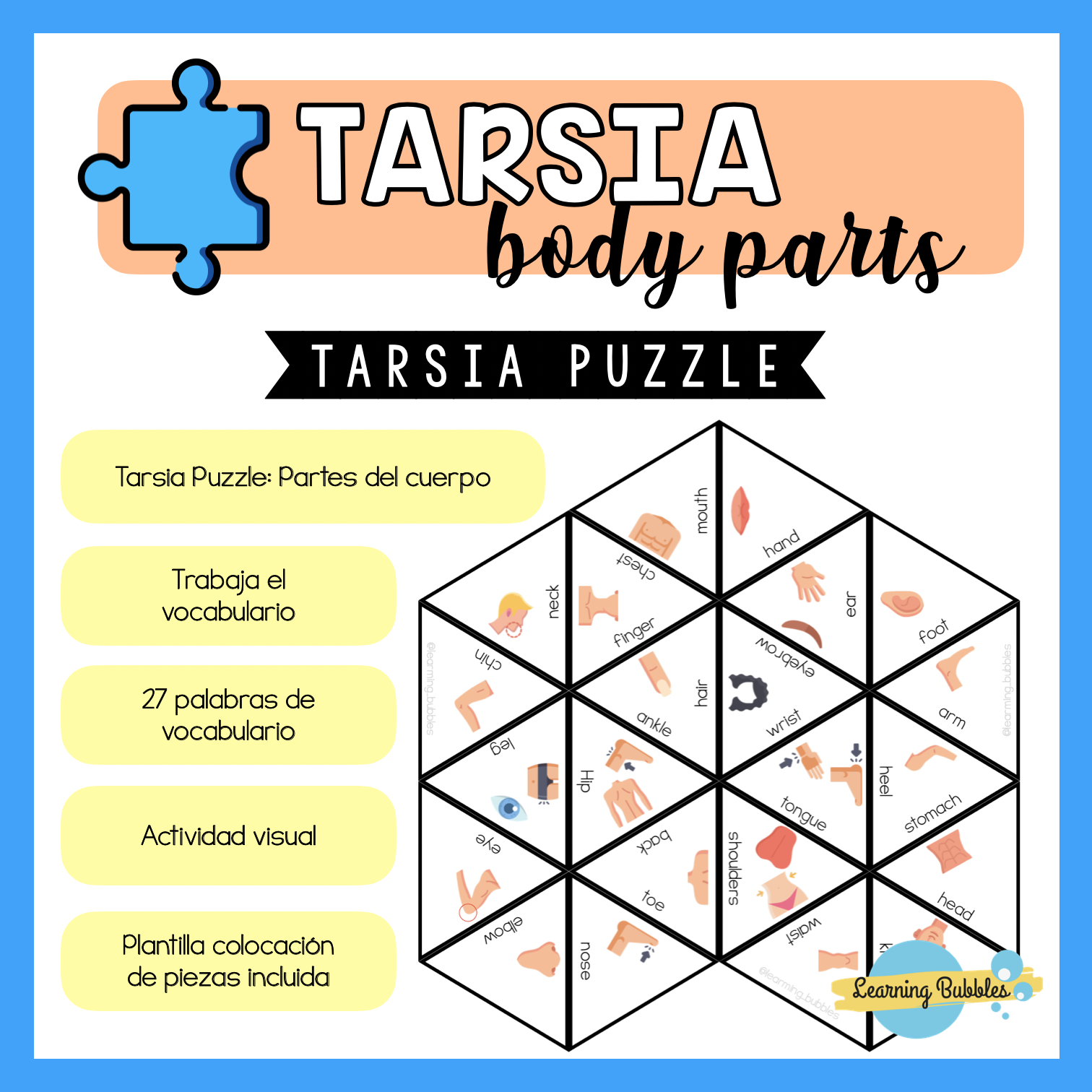 Tarsia body parts