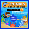 sea animals guessing