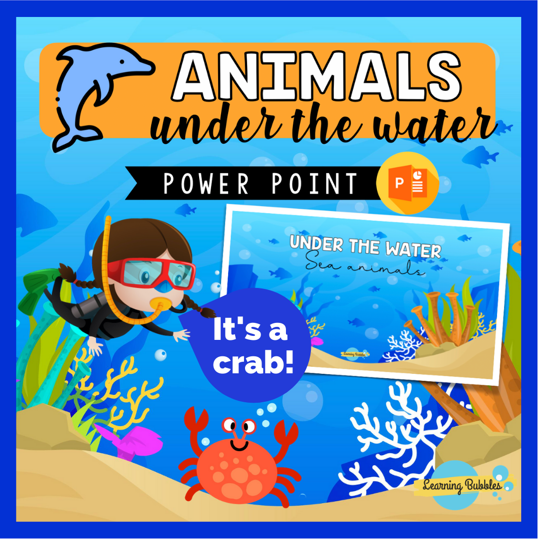 sea animals guessing